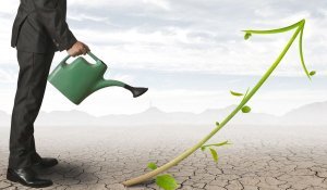 green business growth
